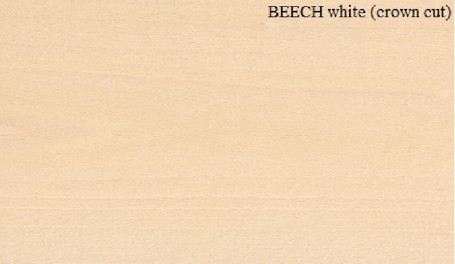 White Beech